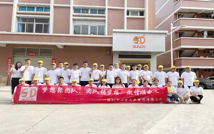 “夢想聚團隊，團隊鑄夢想”順電2021年旅游圓滿結(jié)束